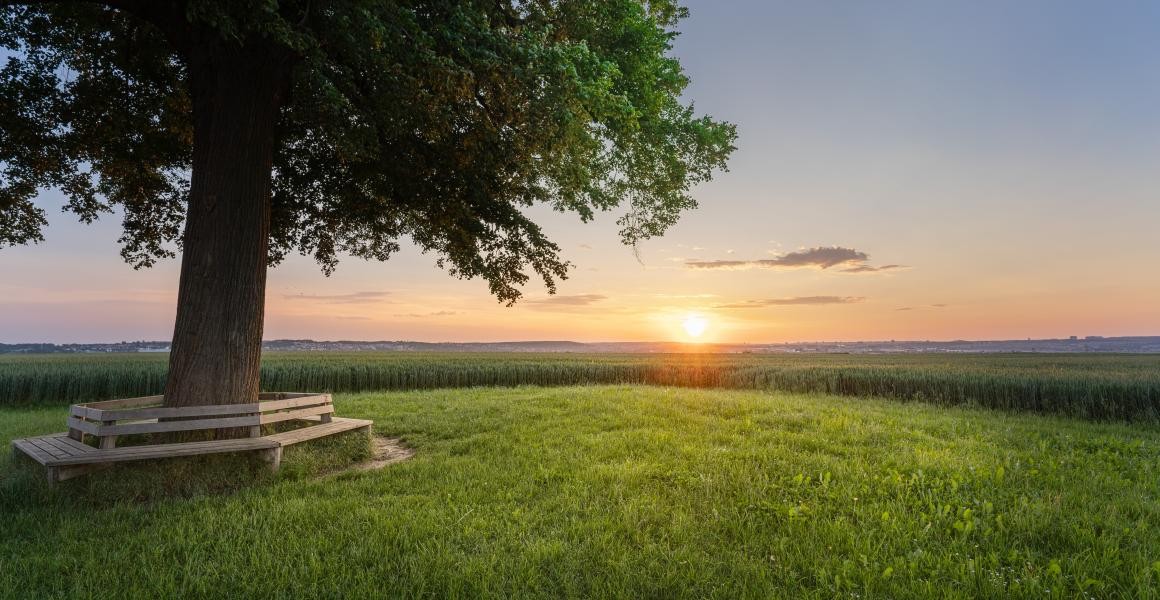 Blick von den Drei Linden aus nach Sielmingen
