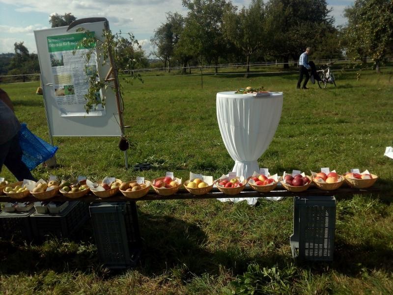 Stand und Raststelle auf der Streuobstwiese in Bonlanden