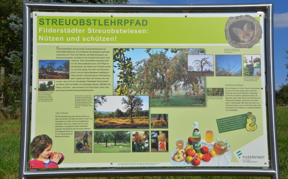 Plan - Streuobstwiesenlehrpfad
