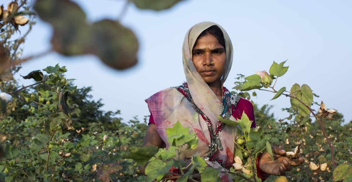 Frau auf einer Baumwollplantage