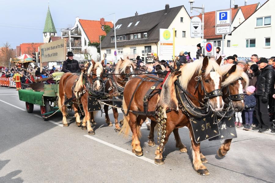 Foto: Günter Bergmann Pferdeparade durch Bernhausen