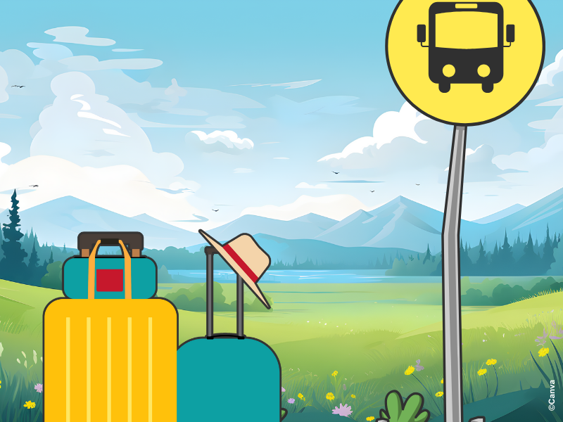 Auf dem Foto sind zwei Koffer an einer Bushaltestelle zu sehen.