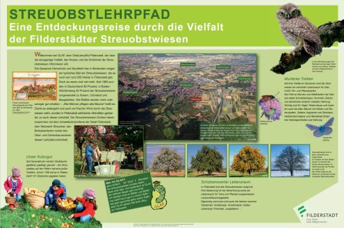 OLAF - Tafel 1