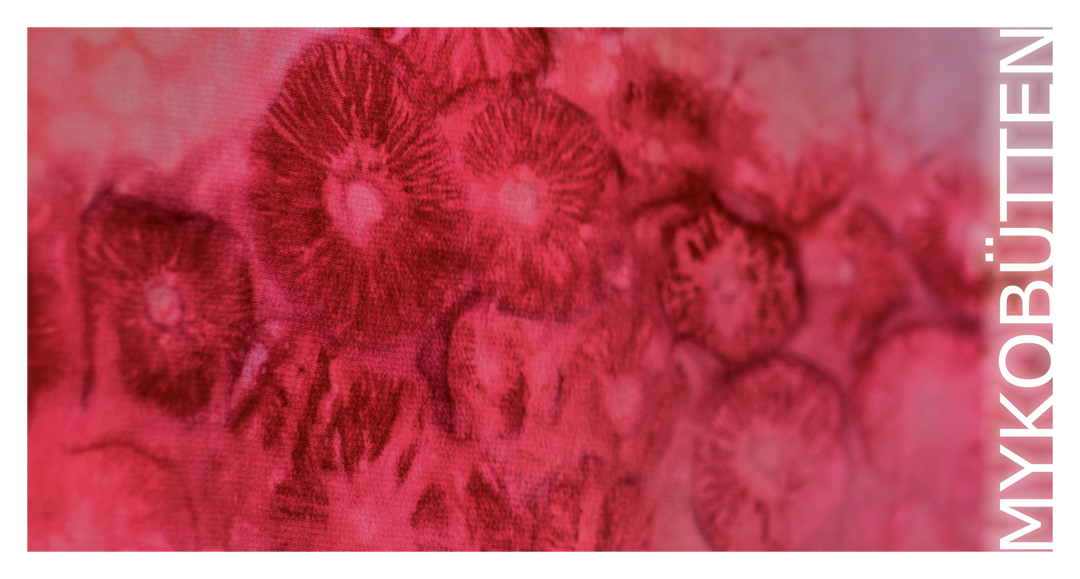 rotes Flächemit runden Strukturen aus Pilzen