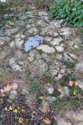 Menschen-Puzzle in Bernhausen