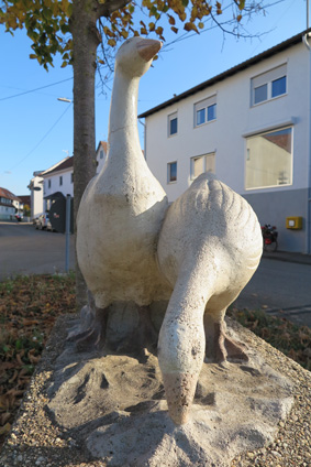 Gänse in Sielmingen