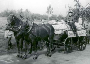 Krautbauer bei einem Festzug in Sielmingen 1950