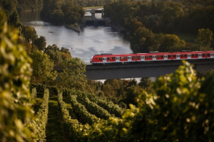 Auf dem Bild fährt eine S-Bahn über eine Brücke