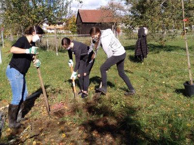 Auszubildende pflanzen im Rahmen eines Klimaworkshops neue Bäume