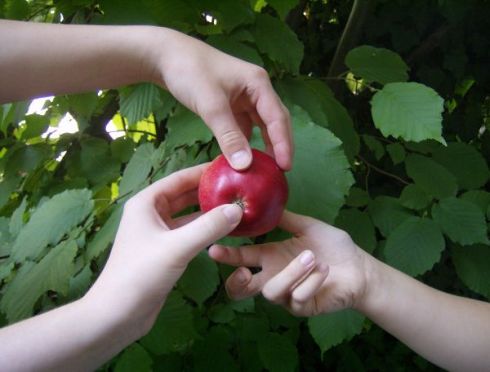 Foto: Andrea Weber Vernetzung mit Apfel = Logo Netzwerk Streuobstwiesen Filderstadt