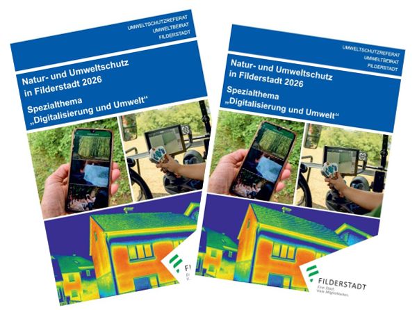 Broschüre der Jahresbroschüre